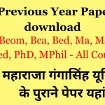 MGSU Previous Year Papers PDF download