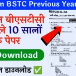 BSTC Previous Year Questions Paper in Hindi
