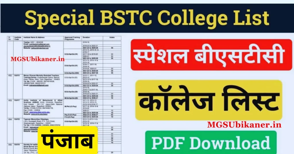 Special BSTC College List in Punjab 2024