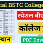 Special BSTC College List in Rajasthan 2024 pdf