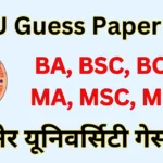 mgsu guess paper 2025